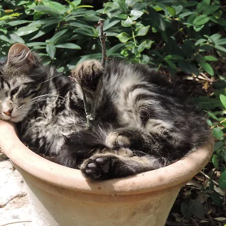 Le Jas De Péguier 4*